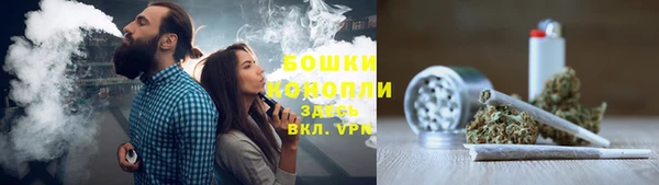 соль ск Богородицк