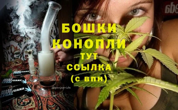 2c-b Богородск