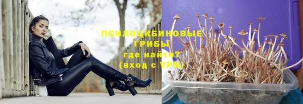 2c-b Богородск
