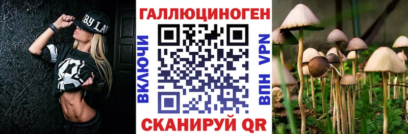 Галлюциногенные грибы MAGIC MUSHROOMS  цены наркотик  Михайлов 